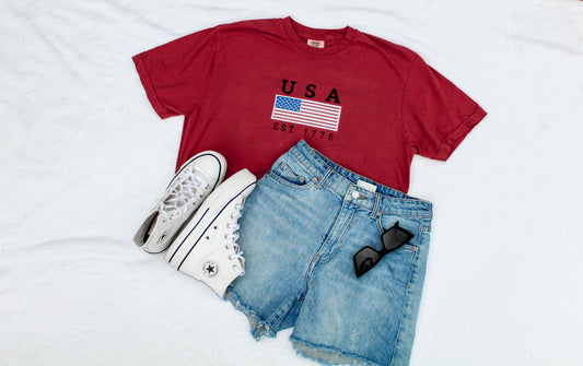 USA Flag T-shirt